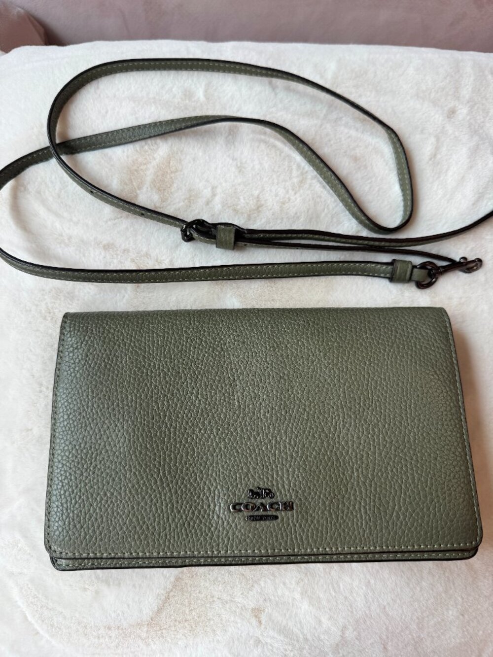 Coach Hayden Foldover Crossbody Clutch in Green